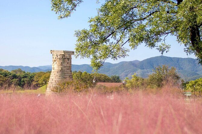 Full-Day Small Group GyeongJu History Tour from Seoul - FAQ