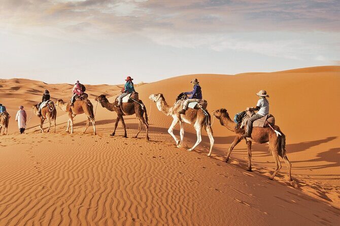Full-Day Small-Group Red Desert Safari with BBQ Dinner in Dubai - Transportation and Group Size