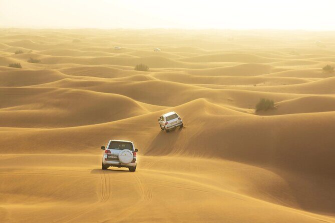 Full-Day Small-Group Red Desert Safari with BBQ Dinner in Dubai - Additional Options and Extras