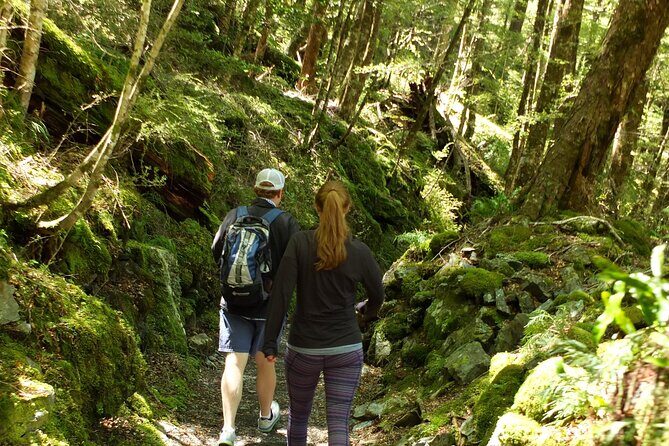 Full Day Small Group Routeburn Valley Hike - A Deep Dive into the Routeburn Valley Hike Experience