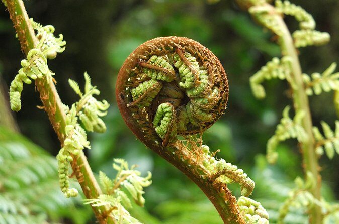 Full Day Small Group Routeburn Valley Hike - Who Would Love This Tour?