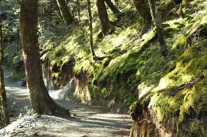 Full Day Small Group Routeburn Valley Hike - Final Thoughts