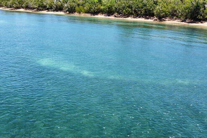 Full-Day Snorkeling Gear Rental in Puerto Rico - Exploring the Snorkeling Gear Rental Experience