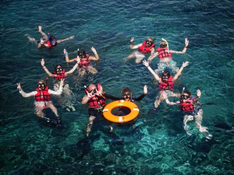 Full-Day Snorkeling Tour to Catalina Island - Authentic Experiences and Possible Drawbacks