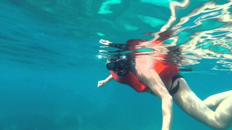 Full-Day Snorkeling Tour to Catalina Island - The Sum Up
