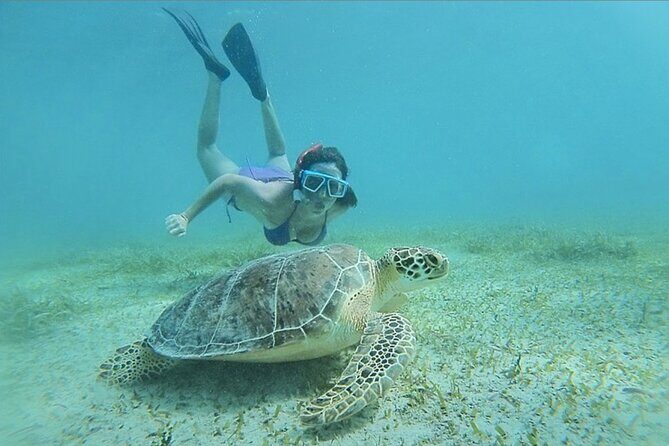 Full-Day Snorkeling Tour to Culebra Island with Lunch - An Honest Breakdown: What to Expect from the Tour