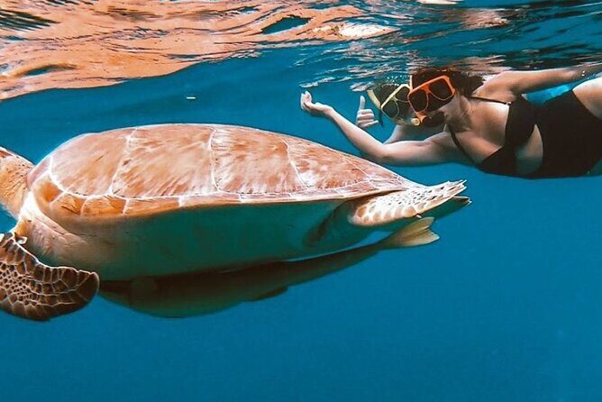 Full-Day Snorkeling Tour to Culebra Island with Lunch - Frequently Asked Questions