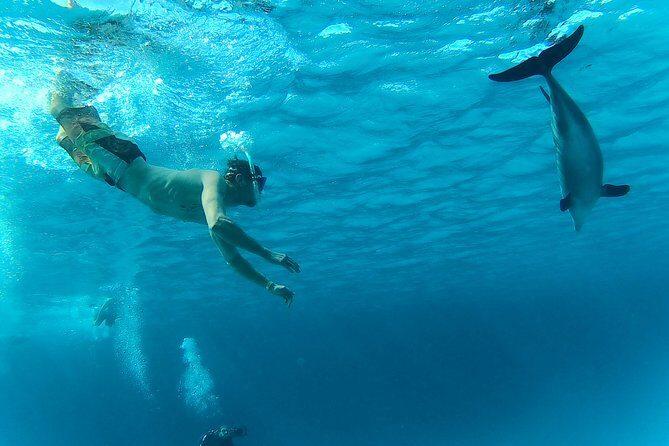 Full-Day Snorkeling with Dolphins in Hurghada with Lunch - Who Would Enjoy This Tour?