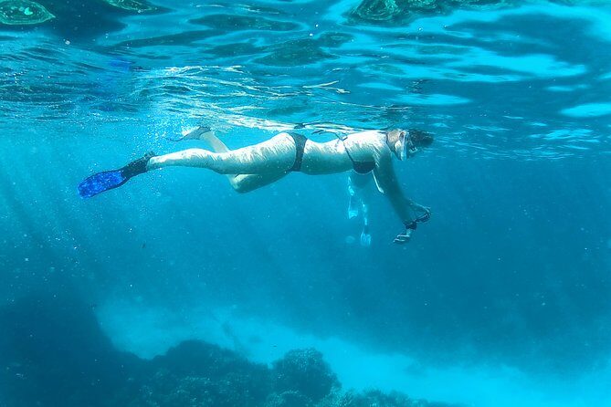 Full-Day Snorkeling with Dolphins in Hurghada with Lunch - FAQs