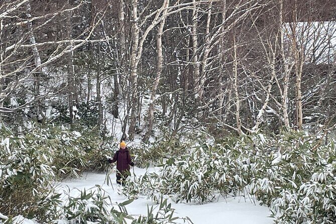 Full Day Snowshoeing Adventures with Onsen. - Key Points