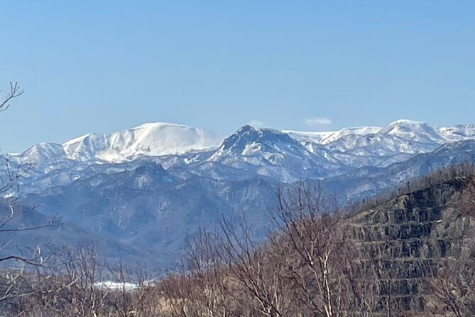 Full Day Snowshoeing Adventures with Onsen. - The Value of This Tour