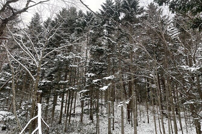 Full Day Snowshoeing Adventures with Onsen. - Final Thoughts