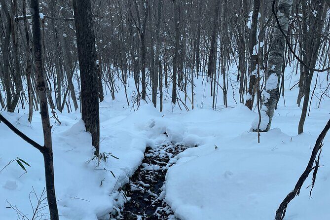 Full Day Snowshoeing Adventures with Onsen. - Frequently Asked Questions