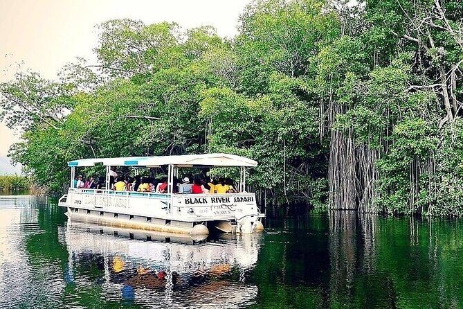 Full-Day South Coast - YS Falls, Pelican Bar & Black River Safari - Is This Tour Worth the Price?