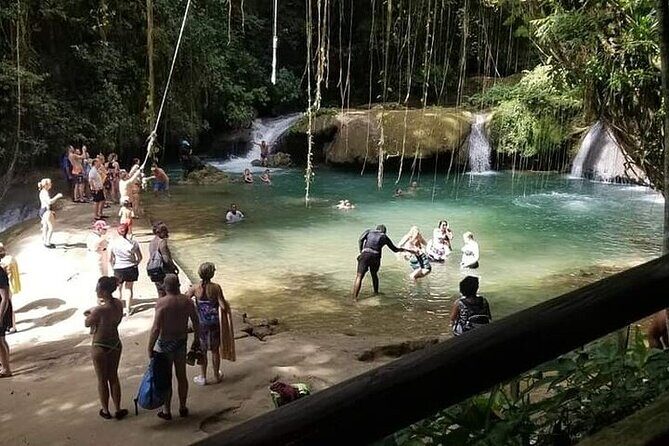 Full-Day South Coast - YS Falls, Pelican Bar & Black River Safari - Who Should Book This Tour?