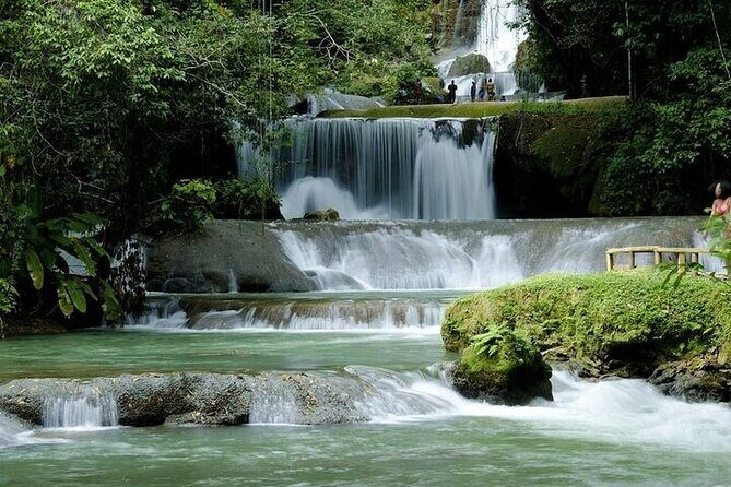 Full-Day South Coast - YS Falls, Pelican Bar & Black River Safari - FAQs