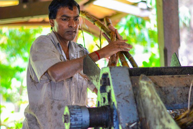 Full-Day South Tour of Mauritius, ALL INCLUSIVE Day Trip, Private SUV Car, Guide - Final Thoughts: Is This Tour Right for You?