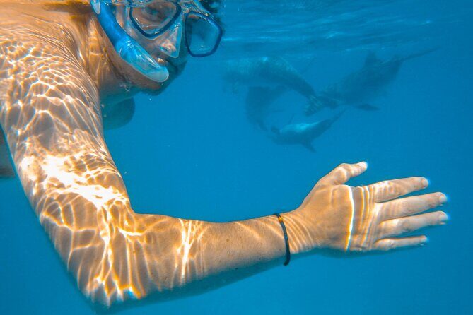 Full-Day Special Wasini Island Tour with Snorkeling and Lunch - Key Points