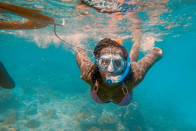Full-Day Special Wasini Island Tour with Snorkeling and Lunch - Exploring the Itinerary: What to Expect on Your Day