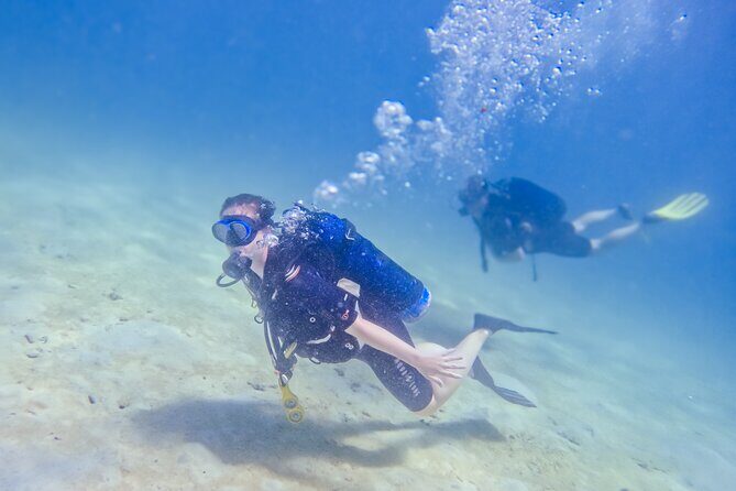 Full-Day Special Wasini Island Tour with Snorkeling and Lunch - Who Would Love This Tour?
