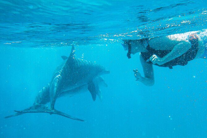 Full-Day Special Wasini Island Tour with Snorkeling and Lunch - Final Thoughts