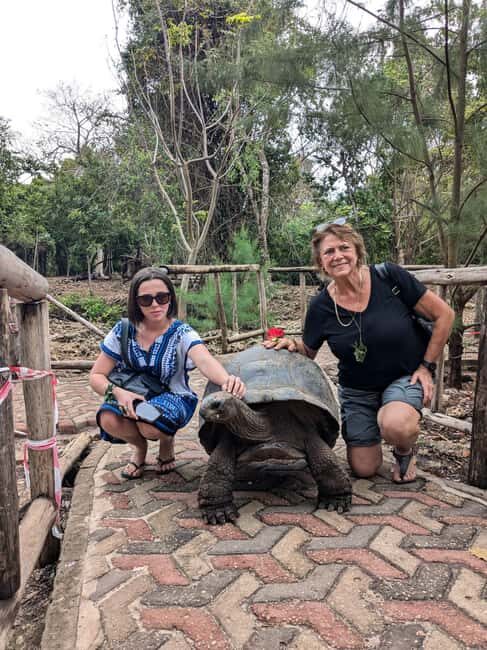 Full day Spice Tour + Prison Island + Stone Town Tour - Who Will Love This Tour?