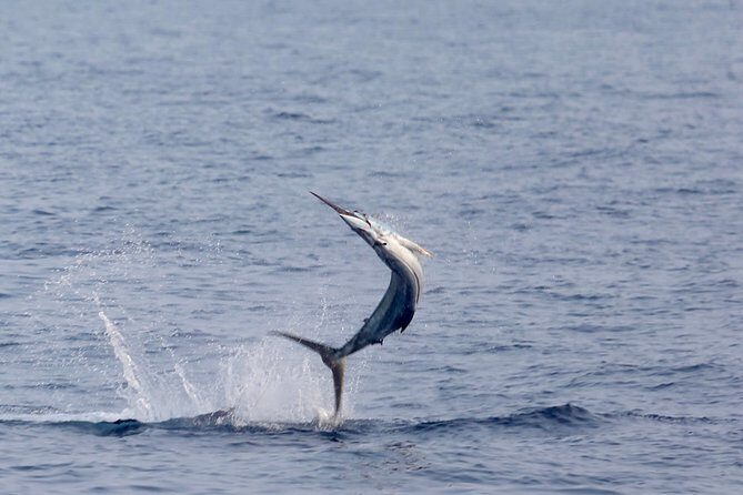 Full Day Sportsman/Enthusiast Charter - Why Choose the Full Day Sportsman/Enthusiast Charter?