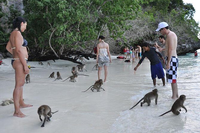 Full Day & Sunset Phi Phi Islands Tour From Phi Phi by Speedboat - FAQs