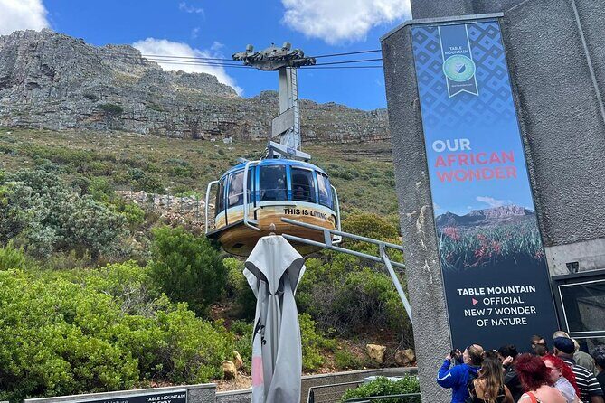 Full Day Table Mountain Cableway Ride and Constantia Wine Tasting - Key Points