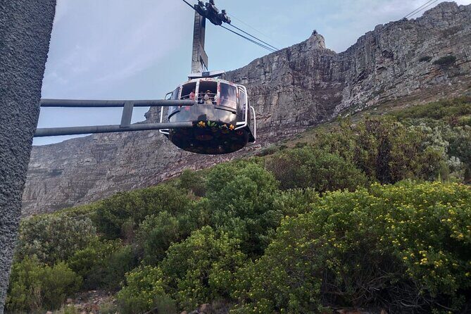 Full Day Table Mountain Cableway Ride and Constantia Wine Tasting - FAQs