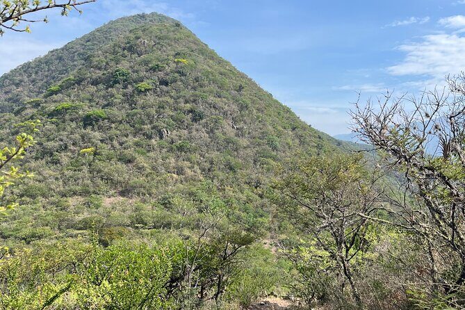 Full Day Teotitlan Del Valle Village Private Tour - Who is This Tour Best Suited For?