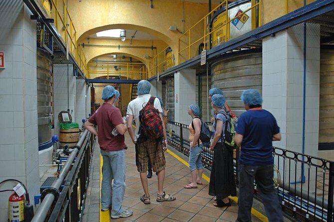 Full-Day Tequila, Jalisco from Puerto Vallarta with Tequila Experience - FAQs