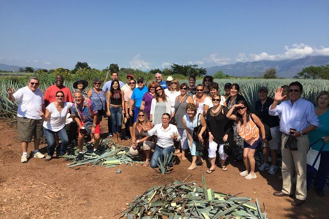 Full-Day Tequila Tour from Guadalajara - Transportation and Group Size