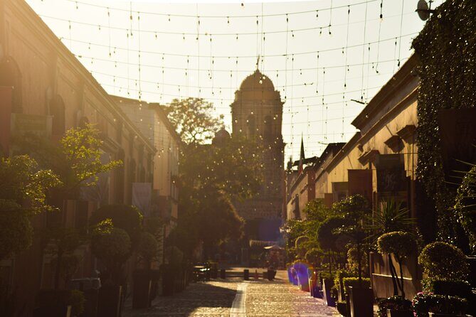 Full-Day Tequila Tour from Guadalajara - Authenticity and Value