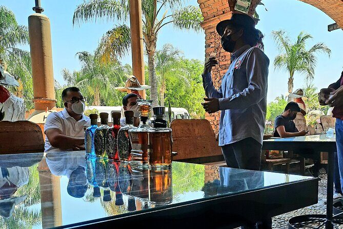 full day Tequila tour visiting artisanal distillery and downtown. - A Detailed Look at the Itinerary