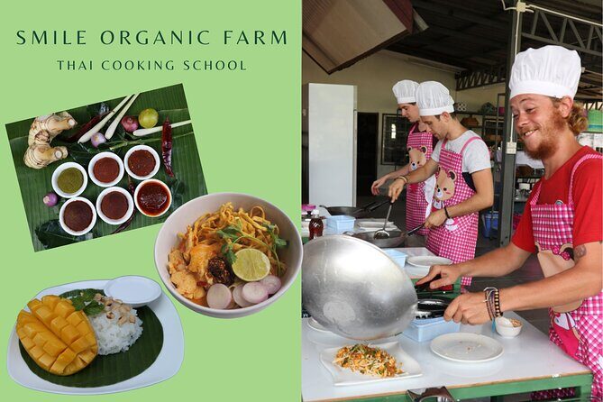 Full Day Thai Cooking at Farm (Chiang Mai) - An In-Depth Look at the Experience