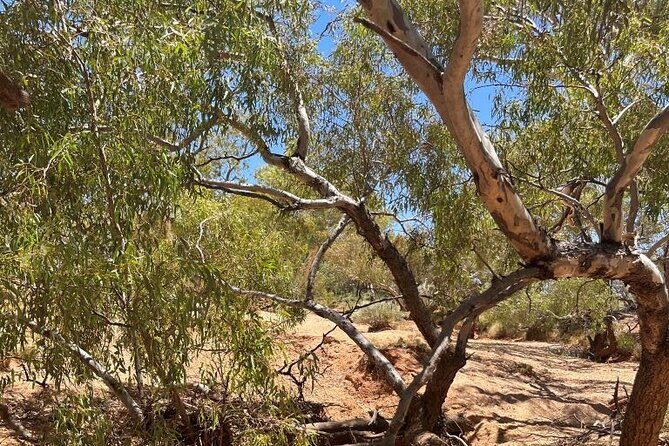 Full day The Painted Desert Tour in Outback South Australia - Starting in Coober Pedy: The Unique Outback Town