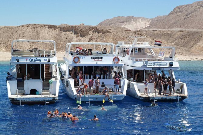 Full Day Tiran Island Snorkeling Sea trip & Lunch With Transfer - Sharm Elsheikh - Is This Trip Worth the Price?