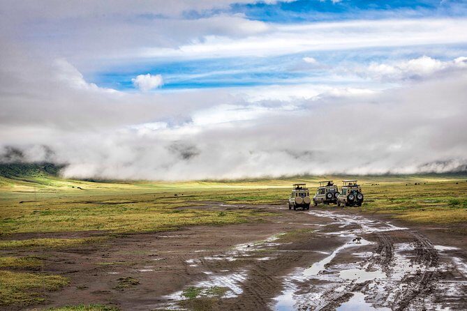 Full Day To Arusha National Park - Final Thoughts