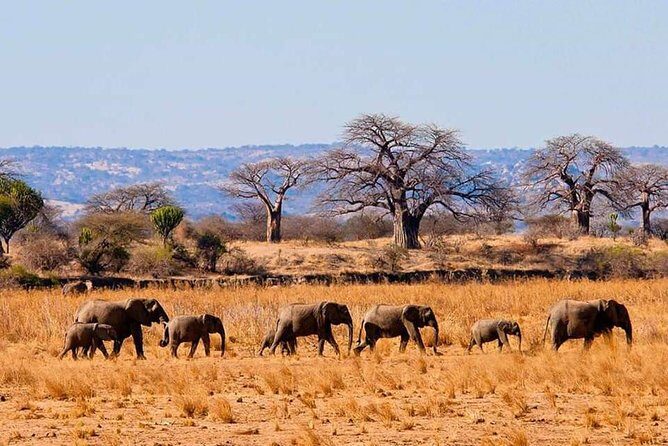 Full Day To Arusha National Park - FAQs