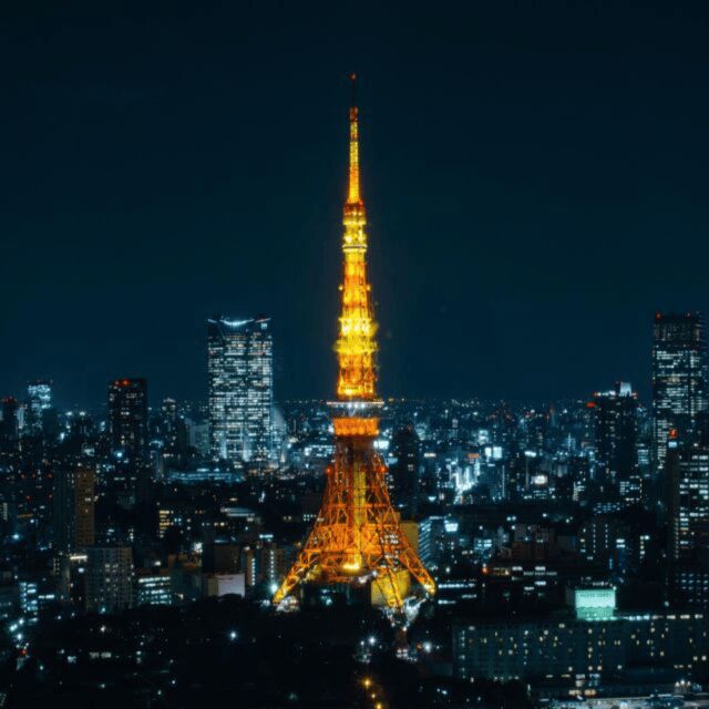 Full Day Tokyo City Private Tour Sightseeing Full Customised - Who Is This Tour Ideal For?