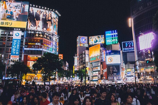Full Day Tokyo Private Tour by Luxury Vehicle - Practical Details and What You Can Expect