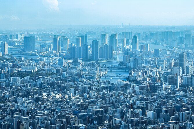 Full Day Tokyo Private Tour by Luxury Vehicle - Who Should Book This Tour?