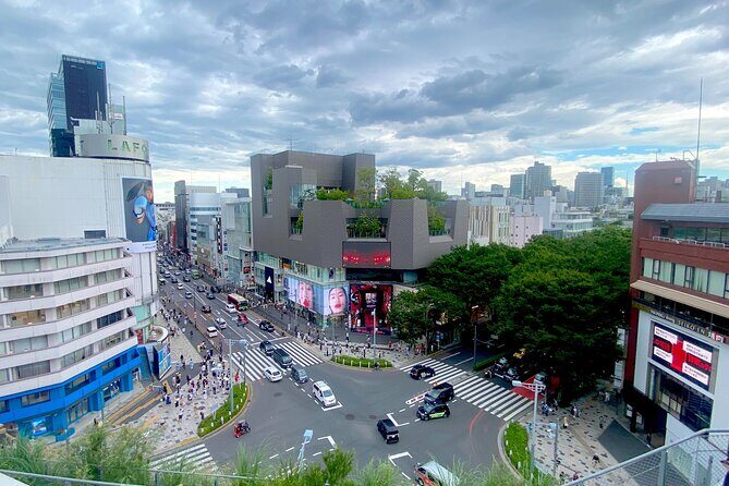 Full Day Tokyo Private Tour by Luxury Vehicle - Final Thoughts
