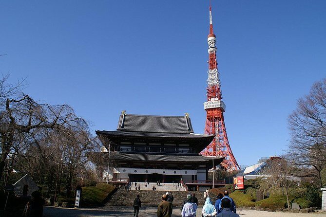 Full Day Tokyo Tour, From/To Tokyo,Yokohama, Narita, 2- 12 guests - Who This Tour is Perfect For