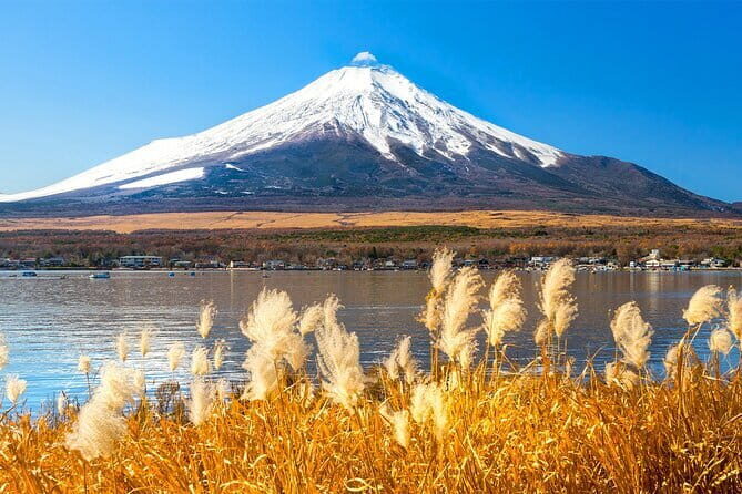 Full Day Tour at Mt. Fuji, Onsen, Lake Kawaguchi and Yamanaka - A Detailed Look at the Tour Experience