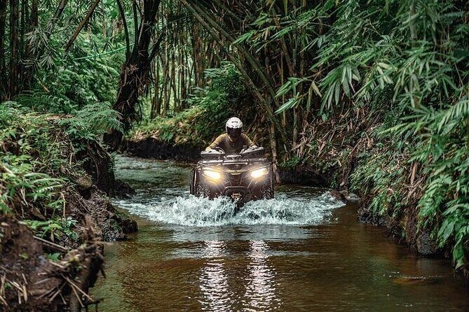 Full Day Tour ATV Adventure and Tegenungan Waterfall and Temples - Authenticity and Reviews: What Travelers Say