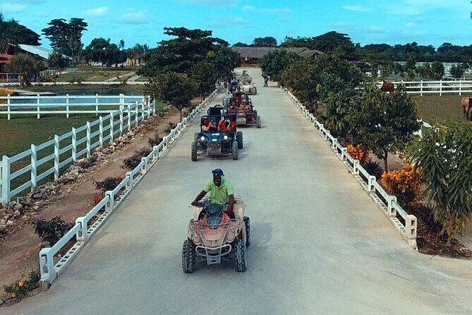 Full day tour. Buggy, lunch and Catamaran Adventure - What the Reviews Say