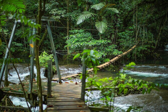 Full Day Tour Cascades Adventure, Turtles and Blue Lagoon - An In-Depth Look at the Tour Experience