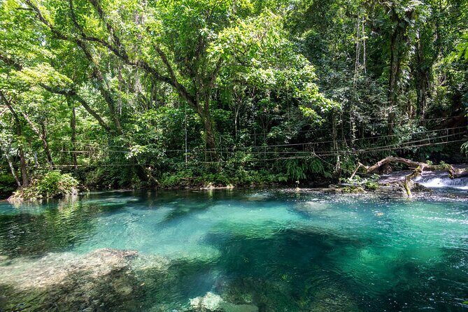 Full Day Tour Cascades Adventure, Turtles and Blue Lagoon - The Sum Up